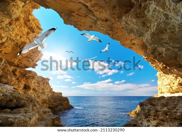 دانلود رایگان shutterstock_2113230290